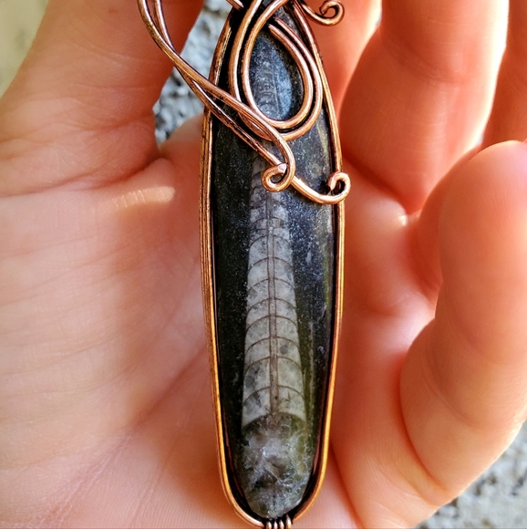 New Oversized Orthoceras Fossil Wire Wrapped Pendant. - Picture 7 of 15